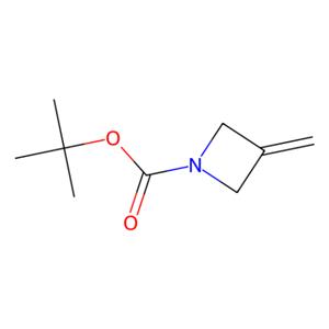 aladdin 阿拉丁 T178303 3-亚甲基氮杂环丁烷-1-羧酸叔丁酯 934664-41-2 97%