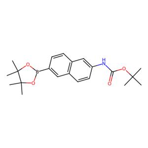 (6-(4,4,5,5-四甲基-1,3,2-二氧硼杂环戊烷-2-基)萘-2-基)氨基甲酸叔丁酯,tert-Butyl (6-(4,4,5,5-tetramethyl-1,3,2-dioxaborolan-2-yl)naphthalen-2-yl)carbamate