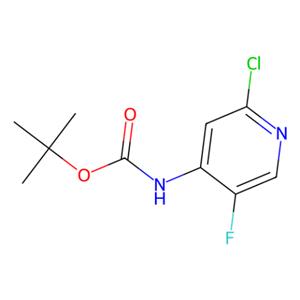 aladdin 阿拉丁 T587058 (2-氯-5-氟吡啶-4-基)氨基甲酸叔丁酯 1354223-67-8 97%