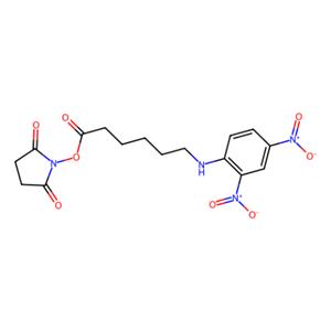 aladdin 阿拉丁 N137850 N-琥珀酰亚胺基N-(2,4-二硝基苯基)-6-氨基己酸酯 82321-04-8 97%