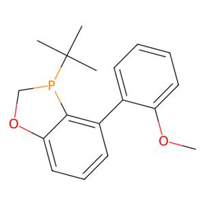 (3R)-3-叔丁基-2,3-二氢-4-(2-甲氧基苯基)-1,3-苯并氧膦杂环,(R)-3-(tert-Butyl)-4-(2-methoxyphenyl)-2,3-dihydrobenzo[d][1,3]oxaphosphole