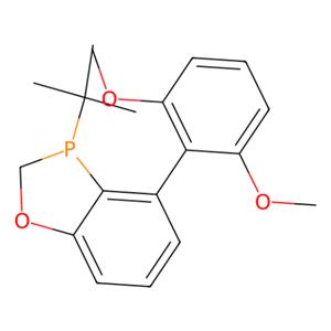 aladdin 阿拉丁 R282141 （R）-3-（叔丁基）-4-（2,6-二甲氧基苯基）-2,3-二氢苯并[d] [1,3]氧磷杂环戊二烯 1338454-03-7 ≥97% ,≥99% ee