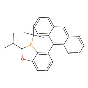aladdin 阿拉丁 R282184 （2R，3R）-4-（蒽-9-基）-3-（叔丁基）-2-异丙基-2,3-二氢苯并[d] [1,3]氧杂磷杂环戊烯 1891002-60-0 97%,>99% ee
