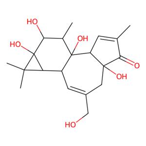 aladdin 阿拉丁 P333869 Phorbol 17673-25-5 98%