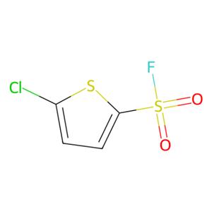 aladdin 阿拉丁 C467042 5-氯-2-噻吩磺酰氟 108158-05-0 95%