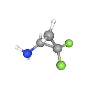 2,2-二氟環(huán)丙基胺鹽酸鹽,2,2-Difluorocyclopropylamine hydrochloride