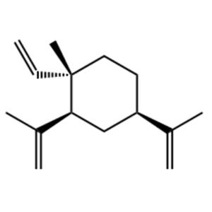 aladdin 阿拉丁 E303852 β-榄香烯 515-13-9 98%