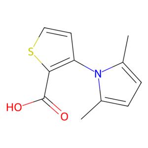 aladdin 阿拉丁 D346256 3-（2,5-二甲基-1H-吡咯-1-基）噻吩-2-羧酸 477888-48-5 97%