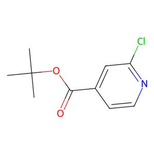 aladdin 阿拉丁 T176041 2-氯异烟酸叔丁酯 295349-62-1 97%