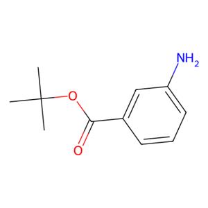 aladdin 阿拉丁 T294493 3-氨基苯甲酸叔丁酯 92146-82-2 98%
