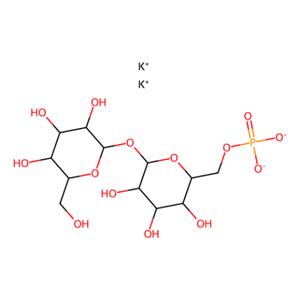 aladdin 阿拉丁 T339557 海藻糖6-磷酸二钾盐 136632-28-5 ≥95%