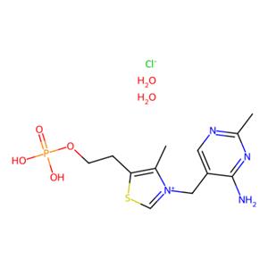 aladdin 阿拉丁 T346336 一磷酸硫胺氯化物 二水合物 273724-21-3 ≥99%