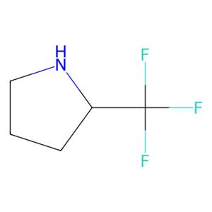 aladdin 阿拉丁 T165872 2-(三氟甲基)吡咯烷 109074-67-1 97%