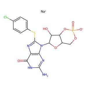 aladdin 阿拉丁 C336169 8-（4-氯苯硫基）鸟苷3'，5'-环一磷酸钠盐 51239-26-0 ≥95%(HPLC)