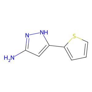 5-氨基-3-(2-噻吩基)吡唑,5-Amino-3-(2-thienyl)pyrazole