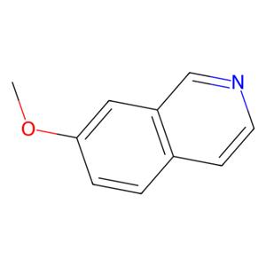 aladdin 阿拉丁 M184299 7-甲氧基异喹啉 39989-39-4 96%