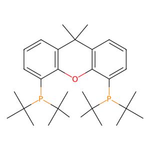 aladdin 阿拉丁 D139344 4,5-二(二叔丁基膦)-9,9-二甲基氧杂蒽 856405-77-1 ≥97%