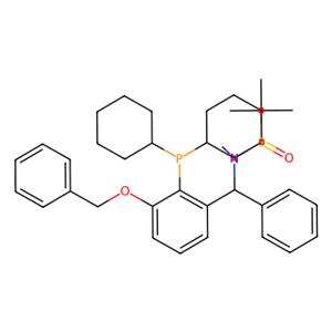 aladdin 阿拉丁 S398843 [S(R)]-N-[(S)-[(3-苄氧基-2-(二环己基膦)苯基)苯甲基]-N-甲基-2-叔丁基亚磺酰胺 2565792-76-7 ≥95%