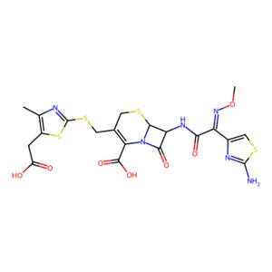 aladdin 阿拉丁 C304431 头孢地嗪酸 69739-16-8 97%