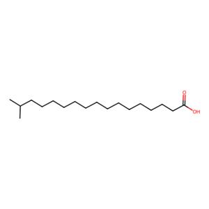 aladdin 阿拉丁 I346319 异硬脂酸 2724-58-5 ≥97%