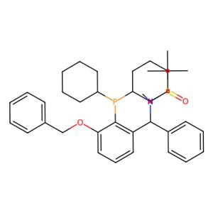 aladdin 阿拉丁 S398849 [S(R)]-N-[(R)-[(3-苄氧基-2-(二环己基膦)苯基)苯甲基]-N-甲基-2-叔丁基亚磺酰胺 2565792-50-7 ≥95%