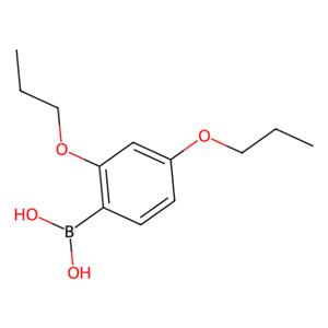 aladdin 阿拉丁 D167436 2,4-二丙氧基苯硼酸 150145-25-8 95%