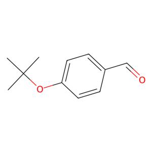 aladdin 阿拉丁 T161497 4-叔丁氧基苯甲醛 57699-45-3 98%
