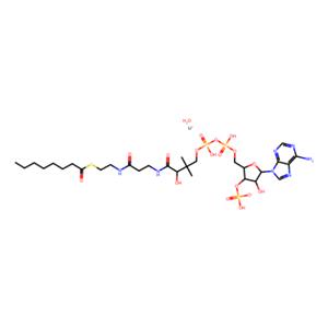 aladdin 阿拉丁 O341490 Octanoyl coenzyme A 锂盐 水合物 324518-20-9 ≥95%