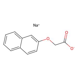 aladdin 阿拉丁 N165365 2-萘氧基乙酸 钠盐 10042-71-4 98%