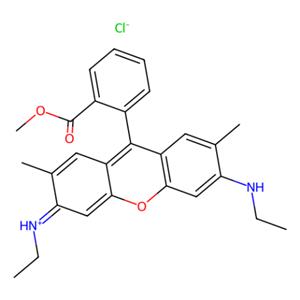 罗丹明590氯化物,Rhodamine 590 Chloride