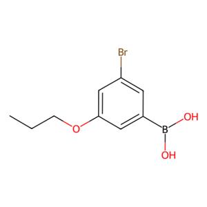 aladdin 阿拉丁 B187313 3-溴-5-丙氧基苯硼酸（含不定量的酸酐） 871126-27-1 95%