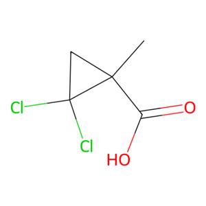 aladdin 阿拉丁 D472255 2,2-二氯-1-甲基-环丙烷甲酸 1447-14-9 98%