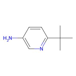aladdin 阿拉丁 T588995 6-(叔丁基)吡啶-3-胺 39919-70-5 95%