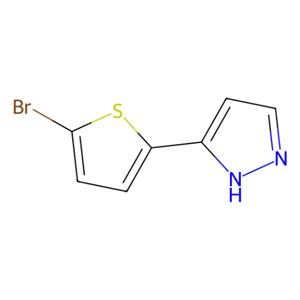 aladdin 阿拉丁 B343235 5-(5-溴噻吩-2-基)-1H-吡唑 166196-67-4 97%