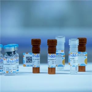 aladdin 阿拉丁 N409301 神经肽W-23（人类）三氟乙酸盐 383415-79-0 98%