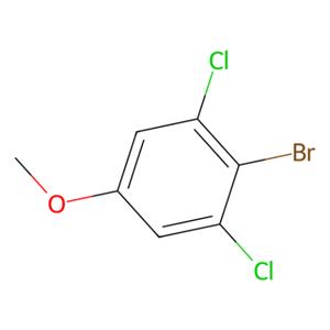 aladdin 阿拉丁 B587675 2-溴-1, 3-二氯-5-甲氧基苯 174913-20-3 98%