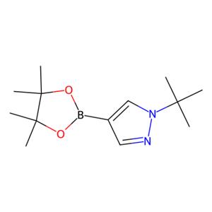 aladdin 阿拉丁 T586804 1-(叔丁基)-4-(4,4,5,5-四甲基-1,3,2-二氧硼杂环戊烷-2-基)吡唑 1256359-15-5 97%