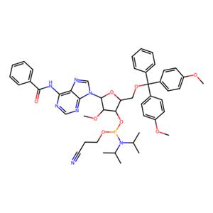 aladdin 阿拉丁 R586373 DMT-2'-O-甲基-rA(Bz)亚磷酰胺 110782-31-5 98%