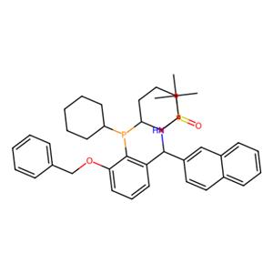 [S(R)]-N-[(S)-[3-苄氧基-2-(二环己基膦)苯基]-(2-萘基)甲基]-2-叔丁基亚磺酰胺,[S(R)]-N-[(S)-[3-(Benzyloxy)-2-(dicyclohexylphosphino)phenyl]-(2-naphthalenyl)methyl]-2-methyl-2-propanesulfinamide