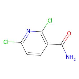 aladdin 阿拉丁 W135040 2,6-二氯烟酰胺 62068-78-4 97%