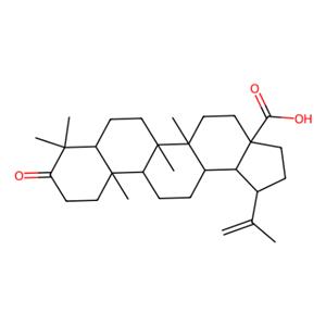 aladdin 阿拉丁 B303737 白桦脂酮酸 4481-62-3 97%
