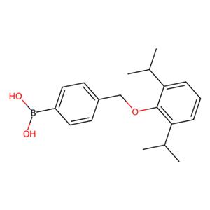 aladdin 阿拉丁 D165747 [4-[[2,6-二(异丙基)苯氧基]甲基]苯基]硼酸(含有数量不等的酸酐) 1072951-63-3 95%
