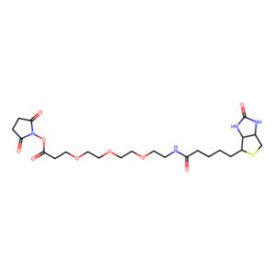 aladdin 阿拉丁 B346583 生物素-PEG3-NHS酯 1253286-56-4 95%