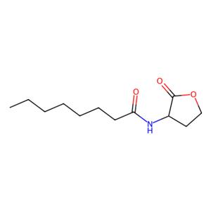 N-辛酰基-DL-高絲氨酸內(nèi)酯,N-Octanoyl-DL-homoserine lactone