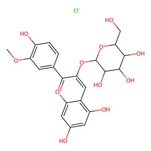 aladdin 阿拉丁 P463712 芍药素3-O-葡萄糖苷氯化物 6906-39-4 97%