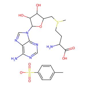 aladdin 阿拉丁 R341484 S-(5′-腺苷)-L-甲硫氨酸 对甲苯磺酸盐 52248-03-0 ≥97%
