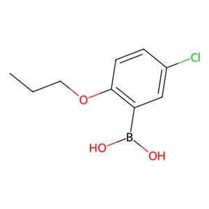 aladdin 阿拉丁 C139318 5-氯-2-丙氧基苯硼酸 849062-29-9 97%