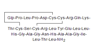 Orexin A 人、大鼠、小鼠,Orexin A human, rat, mouse