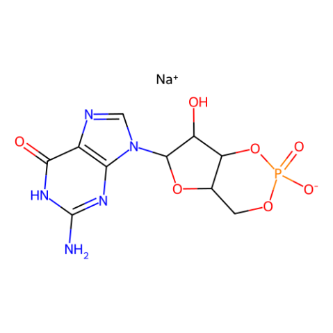 鸟苷3',5'-环一磷酸钠盐（cGMP）,Guanosine 3',5'-cyclic monophosphate sodium salt (cGMP)