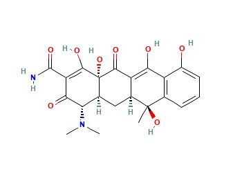 四环素,tetracycline